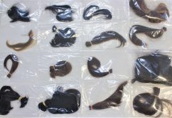 Prodesp doa cabelo para a confecção de perucas para pacientes com câncer