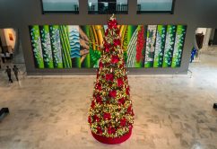 Palácio dos Bandeirantes inaugura árvore e programação especial de Natal