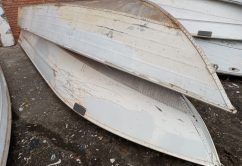 Fundo Social de São Paulo arrecada mais de R$ 22 milhões em leilões sustentáveis