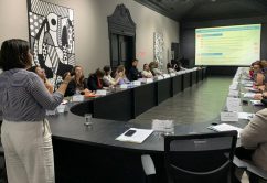 Fundo Social de São Paulo promove oficina sobre análise na prestação de contas públicas