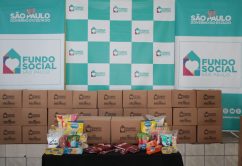 Fundo Social de São Paulo distribui mais de 1,6 milhão de cestas básicas em 2022