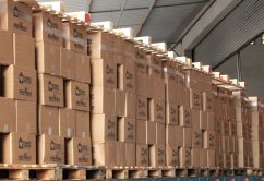 Fundo Social de São Paulo distribui mais de 56 mil cestas básicas em janeiro de 2023