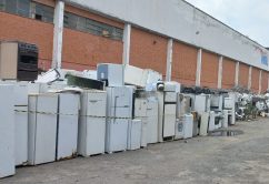 Fundo Social de São Paulo arrecada mais de R$ 3 milhões no primeiro leilão sustentável de 2023