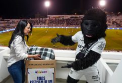 Fundo Social de São Paulo Realiza Ação Especial da Campanha do Agasalho no Jogo entre Ponte Preta e Mirassol
