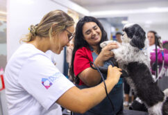 Caminho da Capacitação chega pela primeira vez à região Central e oferece cursos gratuitos em 16 municípios